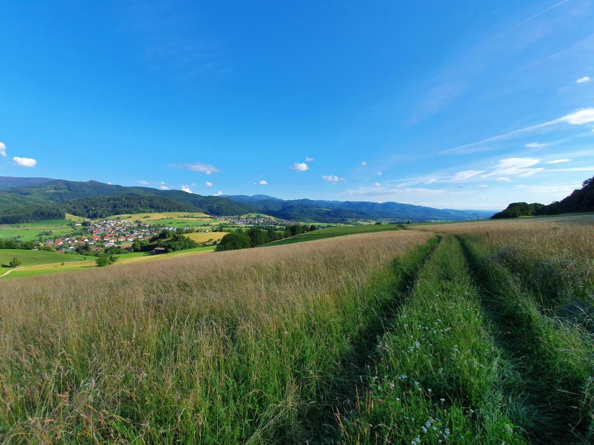 Apartment Schneeburg Ebringen Luaran gambar