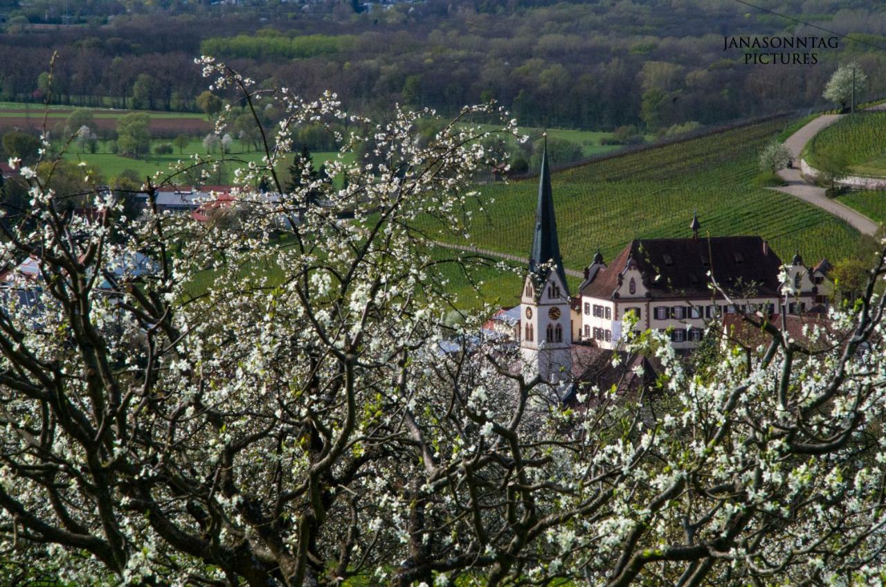 Apartment Schneeburg Ebringen Luaran gambar